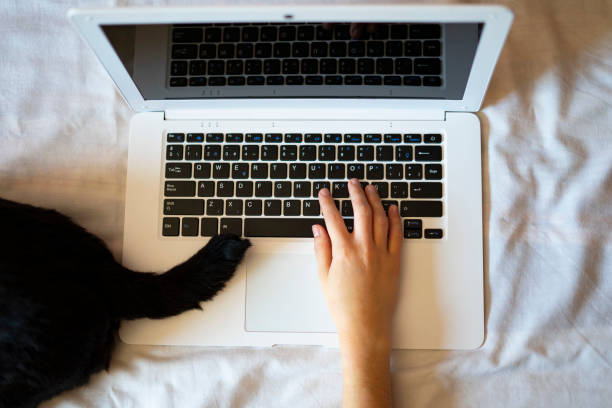 istock Top view of a person working on the computer next to a dog tail. 1250322294