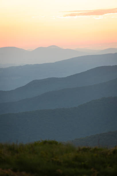 alba dal sentiero degli appalachi sul monte roan - vertical forest national forest woods foto e immagini stock