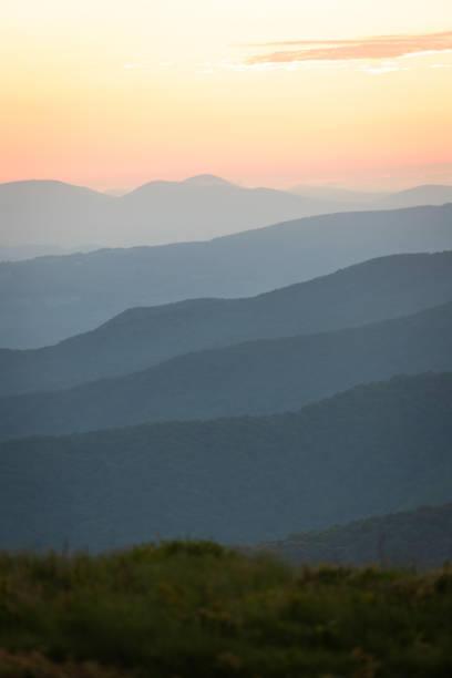 sunrise from the appalachian trail on roan mountain - blue ridge mountains appalachian mountains appalachian trail forest imagens e fotografias de stock