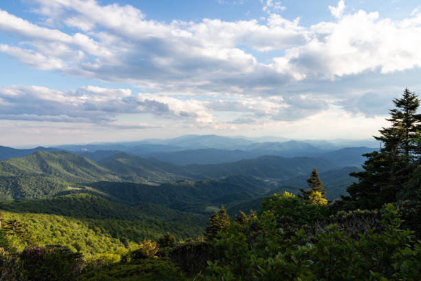 senderismo en el sendero de los apalaches en la montaña roan - blue ridge mountains mountain range north carolina tennessee fotografías e imágenes de stock