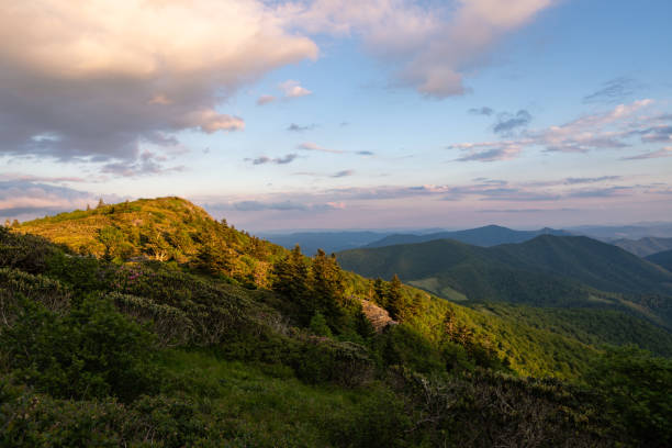 pôr do sol de grassy ridge bald na montanha roan - blue ridge mountains appalachian mountains appalachian trail forest - fotografias e filmes do acervo