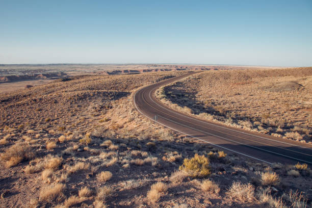 bella strada in un parco nazionale deserto d'america. strada desertica vuota durante il tramonto. concetto di fauna selvatica e viaggi - panoramic california mountain range southwest usa foto e immagini stock