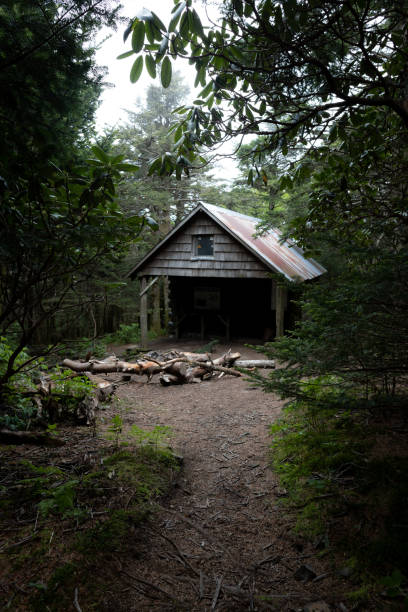 로안 마운틴의 애팔래치아 트레일의 오두막 보호소 - blue ridge mountains north carolina pine tree hiking 뉴스 사진 이미지