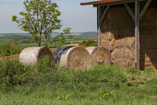 Agriculture / Livestock / Storage for hay and straw .
