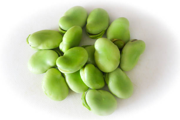 favas - bean broad bean legume heap - fotografias e filmes do acervo