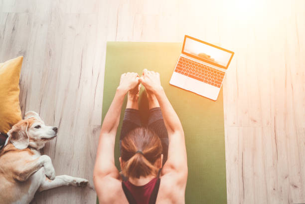 vista dall'alto in forma donna sportiva sana sedersi sul tappeto in posa paschimottanasana, fare esercizi di respirazione, guardare lezioni di yoga online sul computer portatile. il suo cane beagle tiene compagnia accanto al pavimento. - top of the class foto e immagini stock