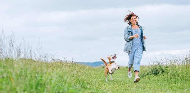 glücklich lächelnde joggingende hündin mit flatternden haaren und ihrem beagle-hund laufen und auf die augen schauen. wandern auf wiesengrasweg in der natur mit haustieren, gesunde aktive menschen lifestyle-konzept bild. - tongue mountain stock-fotos und bilder