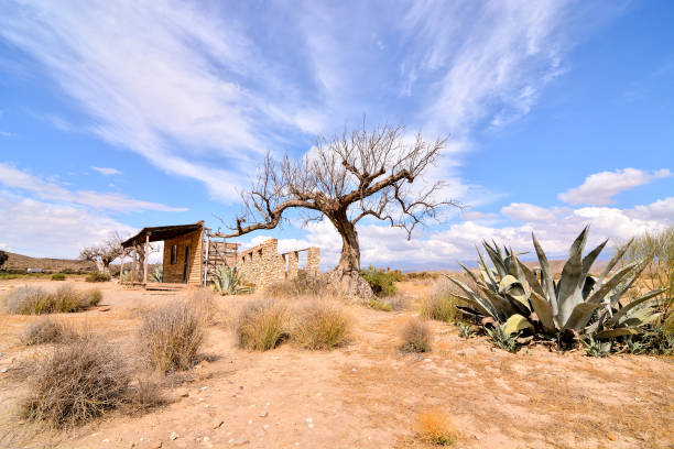 istock Desert Tabernas in Almeria Province Spain 1250337667