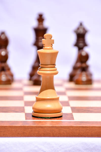 wooden chess piece - alb imagens e fotografias de stock