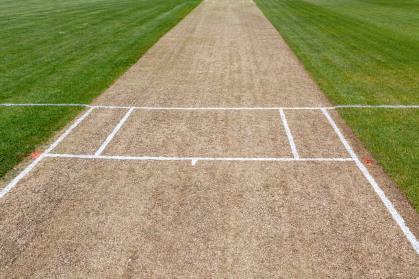 istock Cricket pitch  empty green grass sport field background 1250338869
