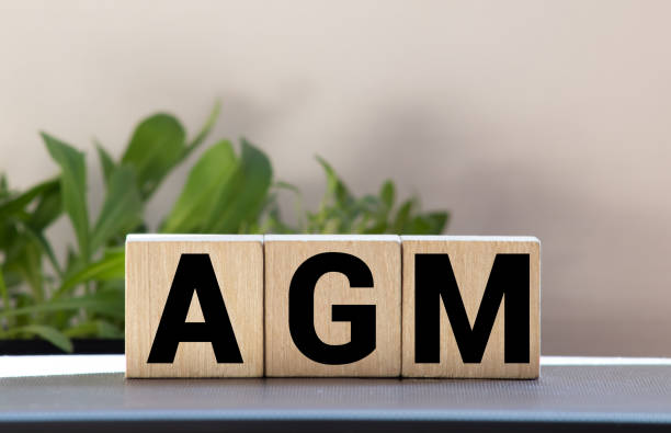 AGM Annual general meeting acronym on wooden cubes on blue backround. Business concept. stock photo