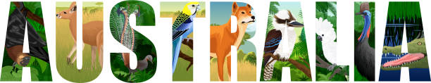 istock vector set of Australia word with animals with lyreburd, dingo, bat, parrot, crocodile, kookaburra, kangaroo and cassowary 1250342383