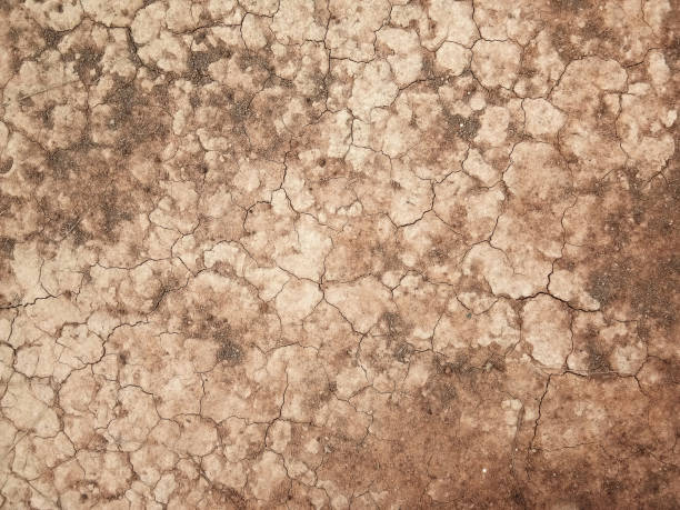 istock The ground has cracks in the top view for the background or graphic design 1250344929