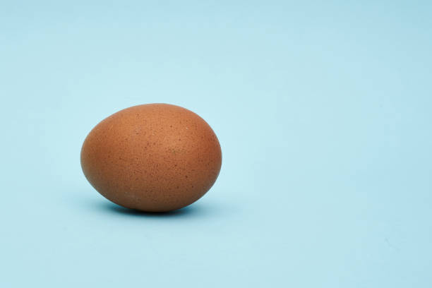 istock One chicken egg. Close up. Healthy eating 1250348782