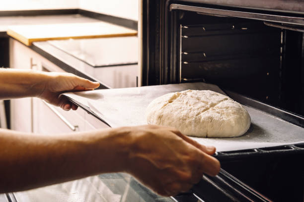 hands putting bread dough in the oven