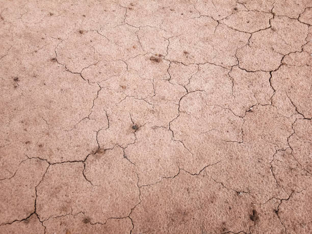 istock The ground has cracks in the top view for the background or graphic design 1250351342