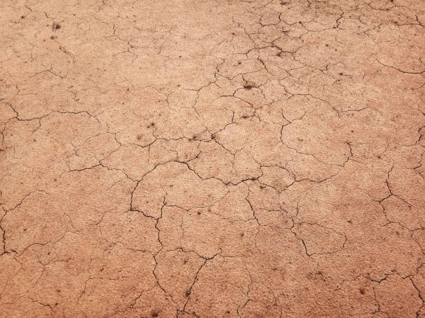 istock The ground has cracks in the top view for the background or graphic design 1250354103