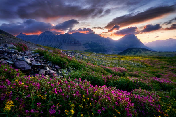 istock Morning Full of Promise 1250357185