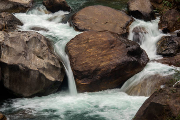 ruisseau de montagne avec des roches - waterfall rapid landscape woods photos et images de collection