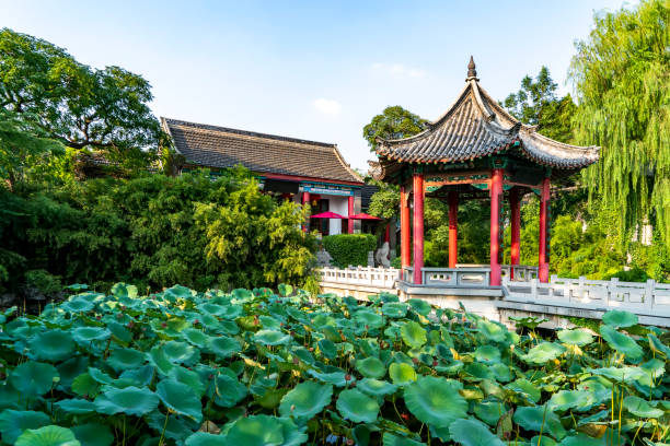 istock Chinese Garden Lake landscape 1250367350