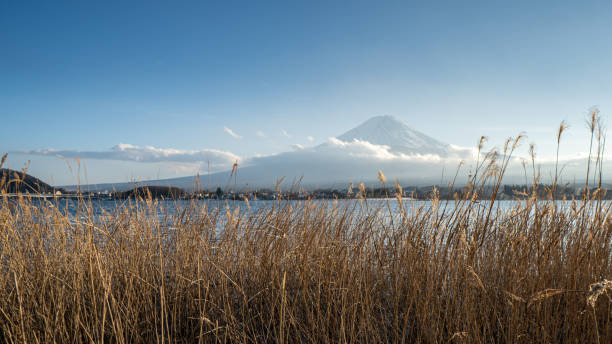 istock View at the Mount Fuji from Kawaguchiko Lake 1250370246