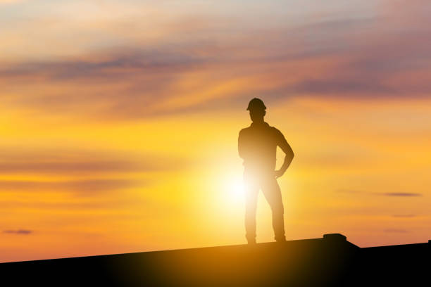 istock Silhouette of Business engineer man standing on container box evening sunset sky 1250372360