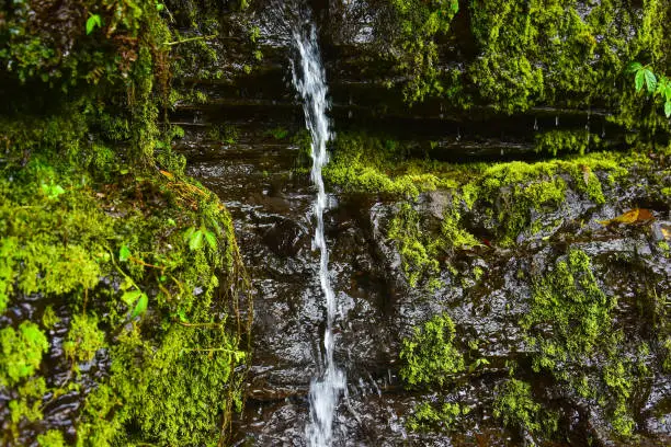 Photo of waterfalls and rocks with green moss, can be used as an aquarium background