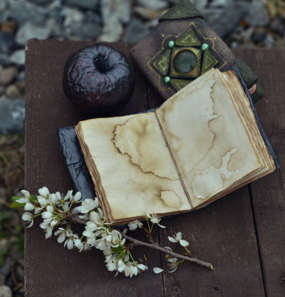 istock Open diary with empty pages, black apple and decorated book with blooming branch on planks. 1250376952