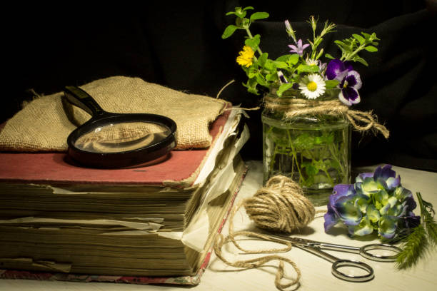 istock Still life with Flowers with lightpainting 1250379199