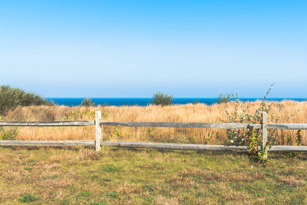 istock North Eastern USA coastal landscape 1250381949