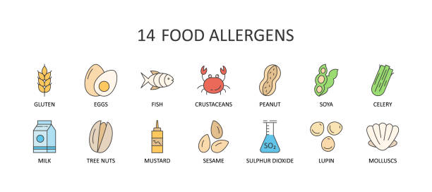 illustrations, cliparts, dessins animés et icônes de icônes de couleur vectorielle de 14 principaux allergènes alimentaires. course modifiable. lait lupin céleri arachides noix sésame dioxyde de soufre crustacés. oeufs sans gluten poissons palourdes moutarde de soja. pour la conception web et l’applic - sesame