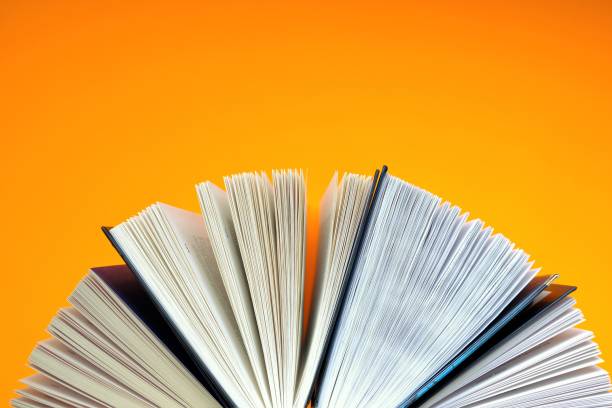 istock Books set on a orange background.Reading and education concept. Training and knowledge. top view, copy space.Books page close-up background 1250384230
