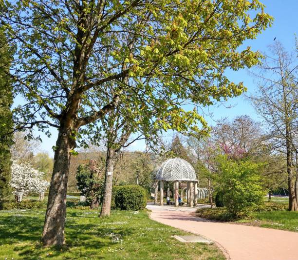 istock Beautiful springtime in a blossoming Park 1250386425