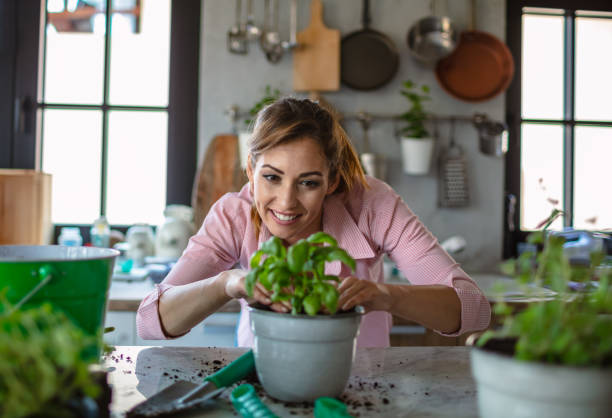 Gardening at home