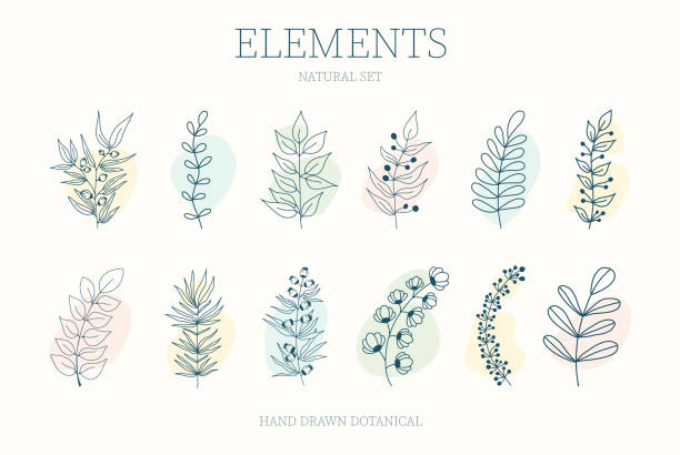 ilustrações de stock, clip art, desenhos animados e ícones de vector set of nerd elements with circles - botânica ciência de plantas ilustrações