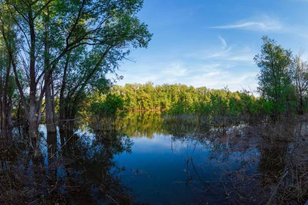 istock lake in a beautiful day 1250393238