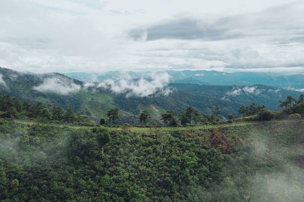 istock Mountains and green trees after the rain 1250393517