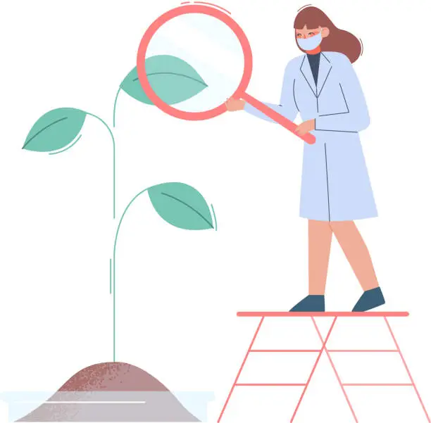 Vector illustration of Scientist in Lab, Bioengineer in White Coat and Medical Face Mask Doing Professional Science Researchers with Plant and Magnifying Gass Flat Style Vector Illustration