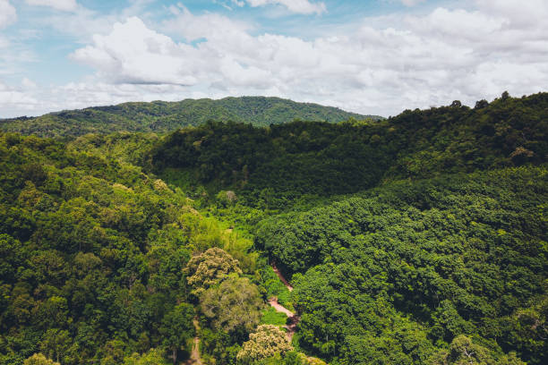 istock Mountains and green trees after the rain 1250402802