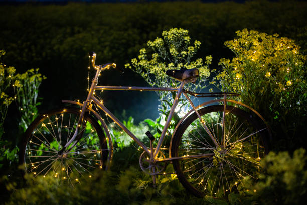 istock Old bike in alfalfa field 1250403712