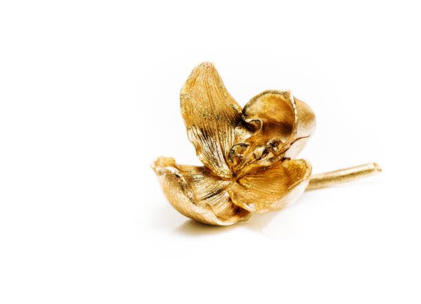 istock Golden lily orchid decoration on white background 1250404070