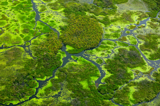 Aerial landscape in Okavango delta, Botswana. Lakes and rivers, view from airplane, UNESCO World Heritage site in South Africa. Green vegetation with water in rainy season.