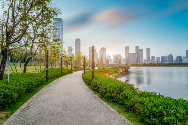istock Shenzhen Urban Landscape 1250408038