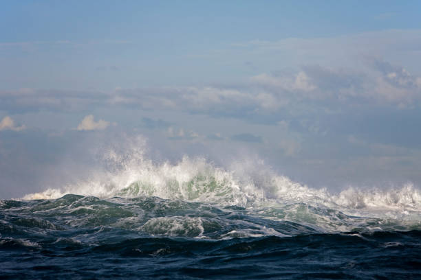 istock Wave, Coast at Hermanus in South Africa 1250408703