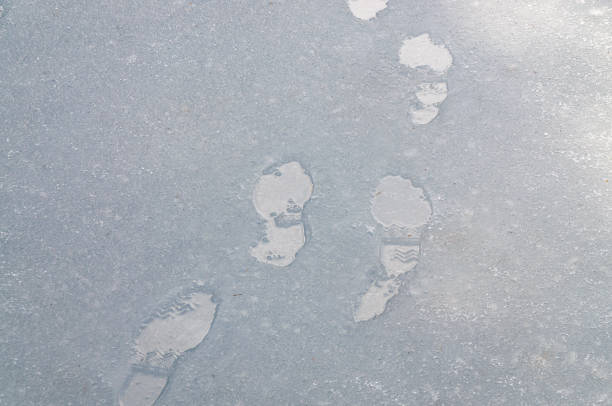 impronte bagnate su una strada coperta di sleet - sleet foto e immagini stock