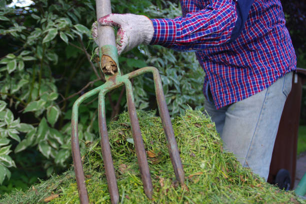 istock The gardener throws fresh green hay with forks in his hands 1250409106