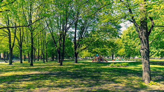 Empty parks of Riga in sunny spring. During an emergency due to a fall COWID-19. Riga city park. Riga, Latvia