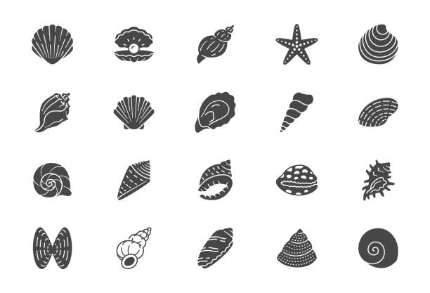 ilustrações de stock, clip art, desenhos animados e ícones de seashell, oyster, scallop flat icons. vector illustration included icon as nautilus, spiral shell, starfish, underwater life, see fod black silhouette pictogram for beach mollusk infographic - clam