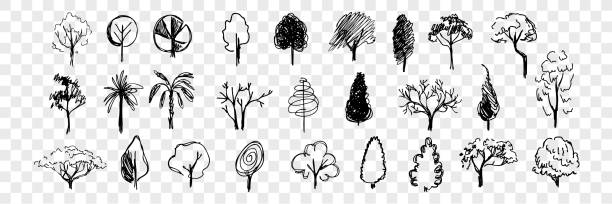 illustrations, cliparts, dessins animés et icônes de collection d’ensembles de doodle d’arbres dessinés à la main - pencil pine