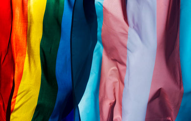 gay and transgender pride flags waving on the sky closeup of a gay pride flag and a transgender pride flag waving on the blue sky, moved by the wind rainbow flag photos stock pictures, royalty-free photos & images
